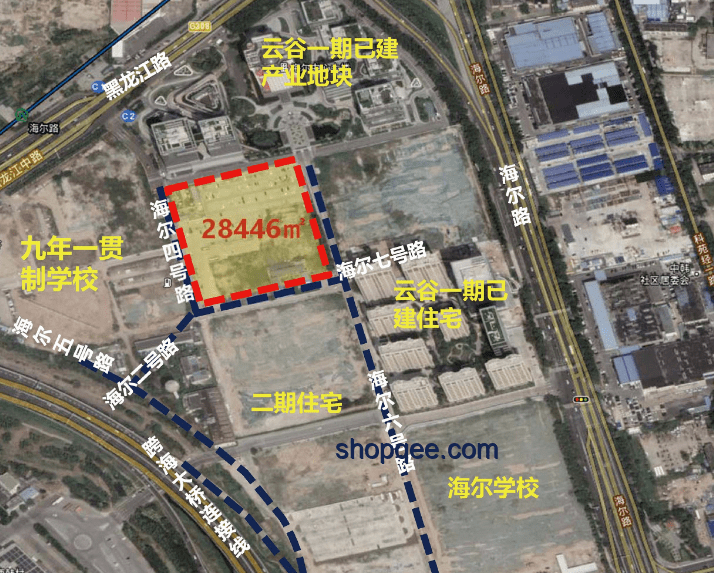 蔡徐坤回国后的事业规划与发展策略